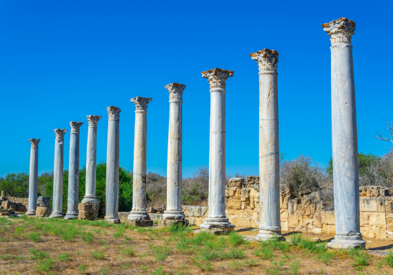  Salamis archaeological site
