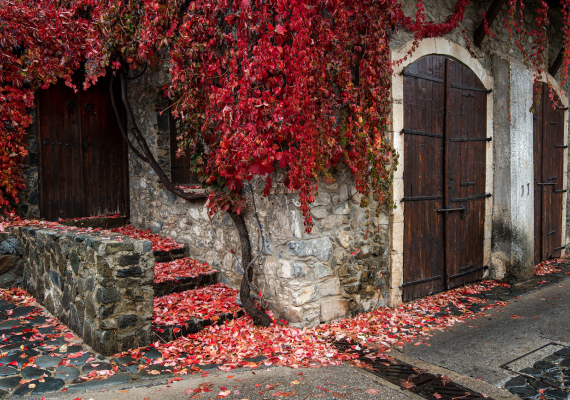  Autumn Kalopanayiotis village
